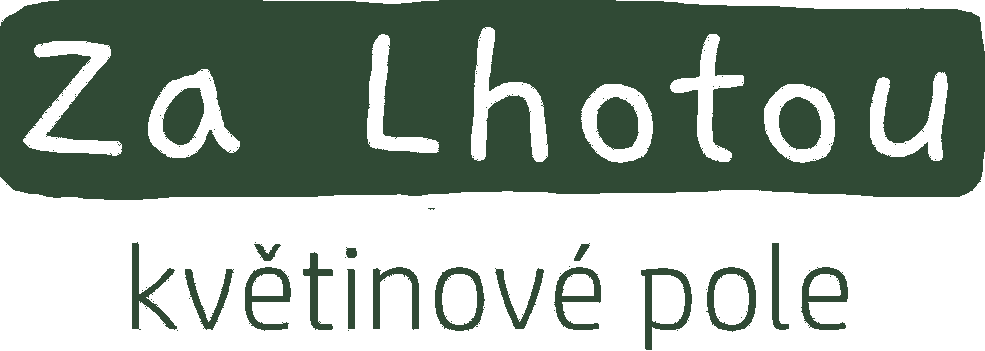Za Lhotou, květinové pole